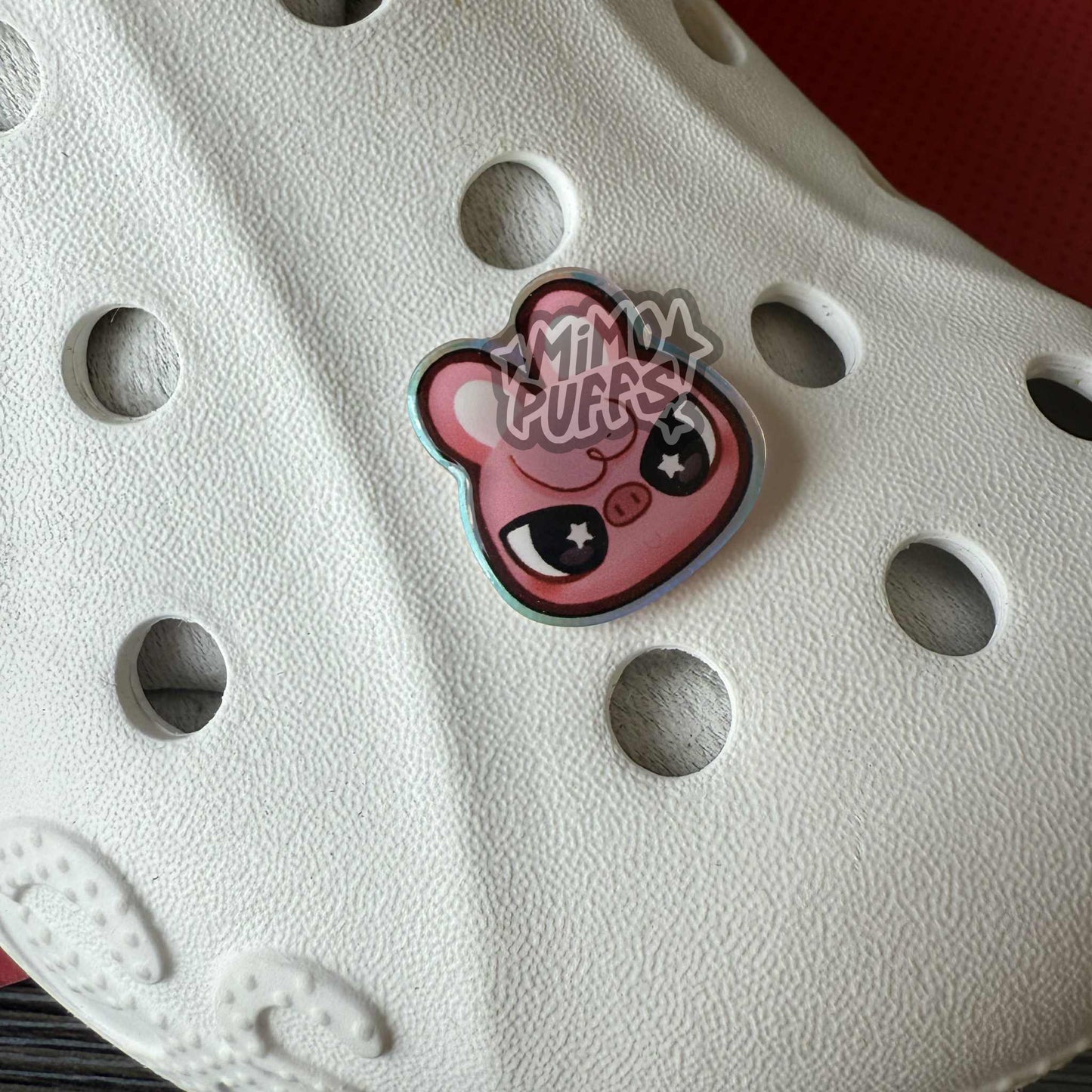 Sk Zoo Holographic Shoe Charms