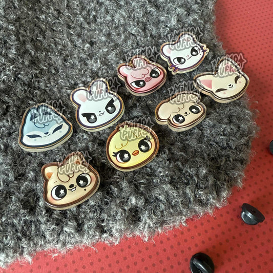 Sk Zoo Acrylic Pins