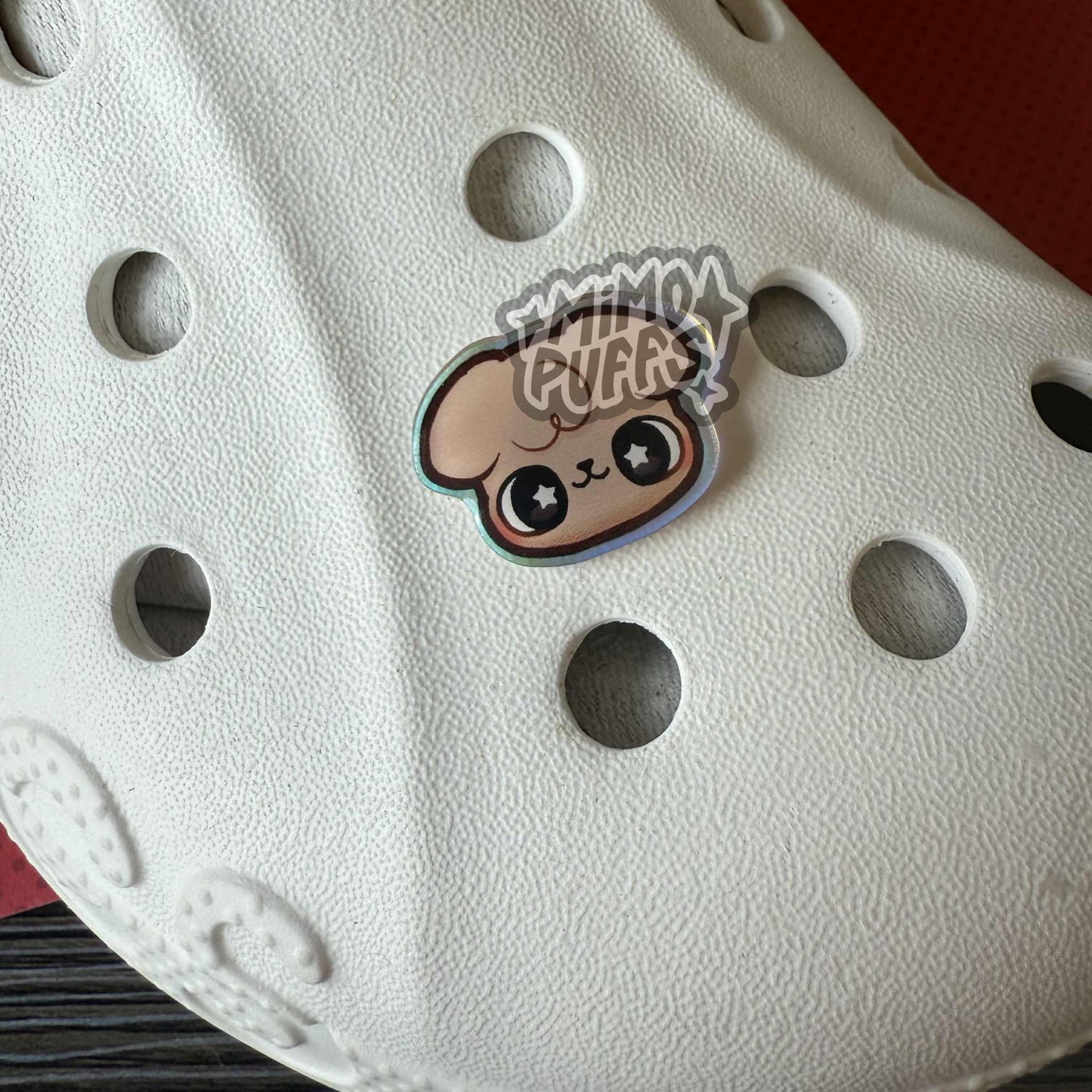 Sk Zoo Holographic Shoe Charms