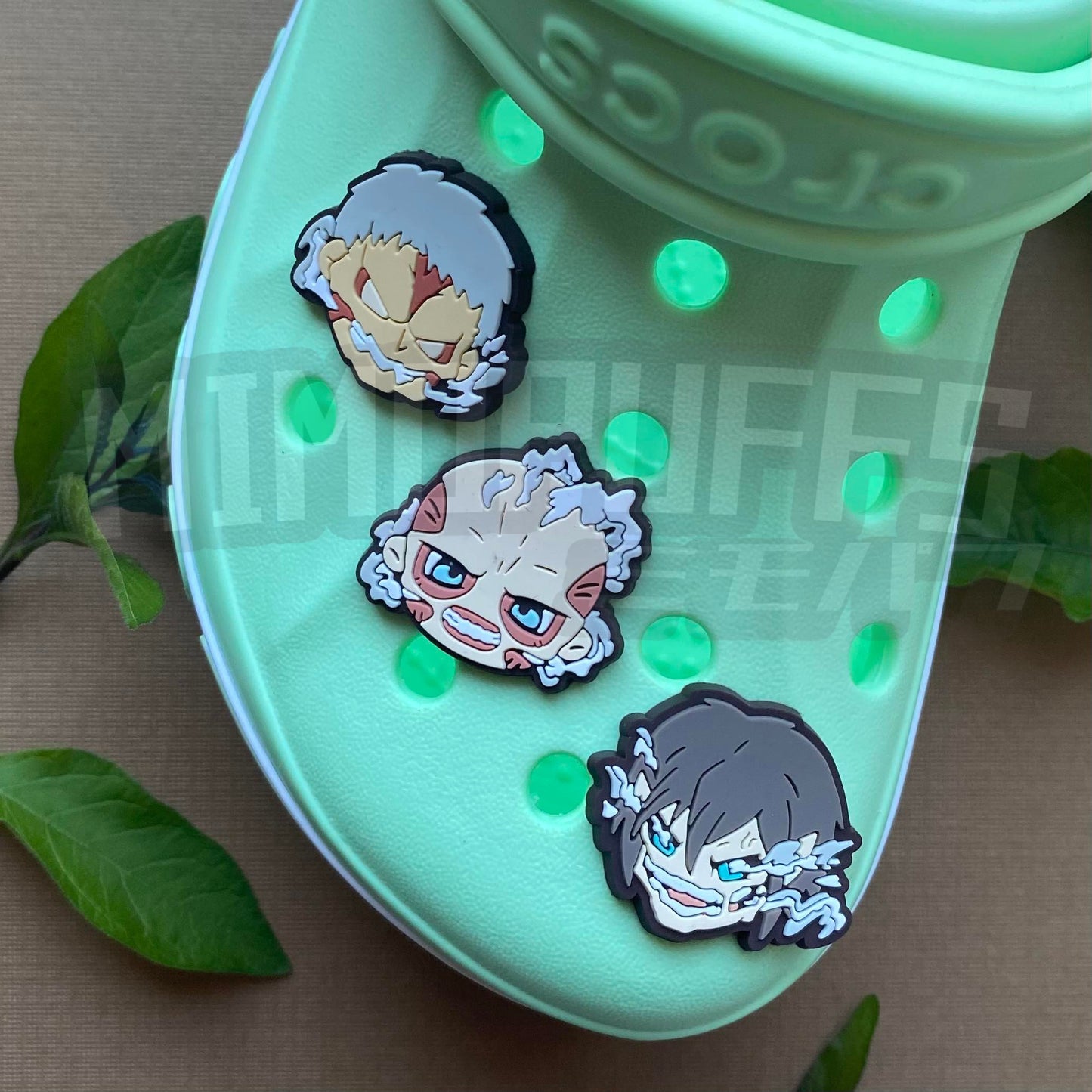 AOT Croc Charms Vol 1