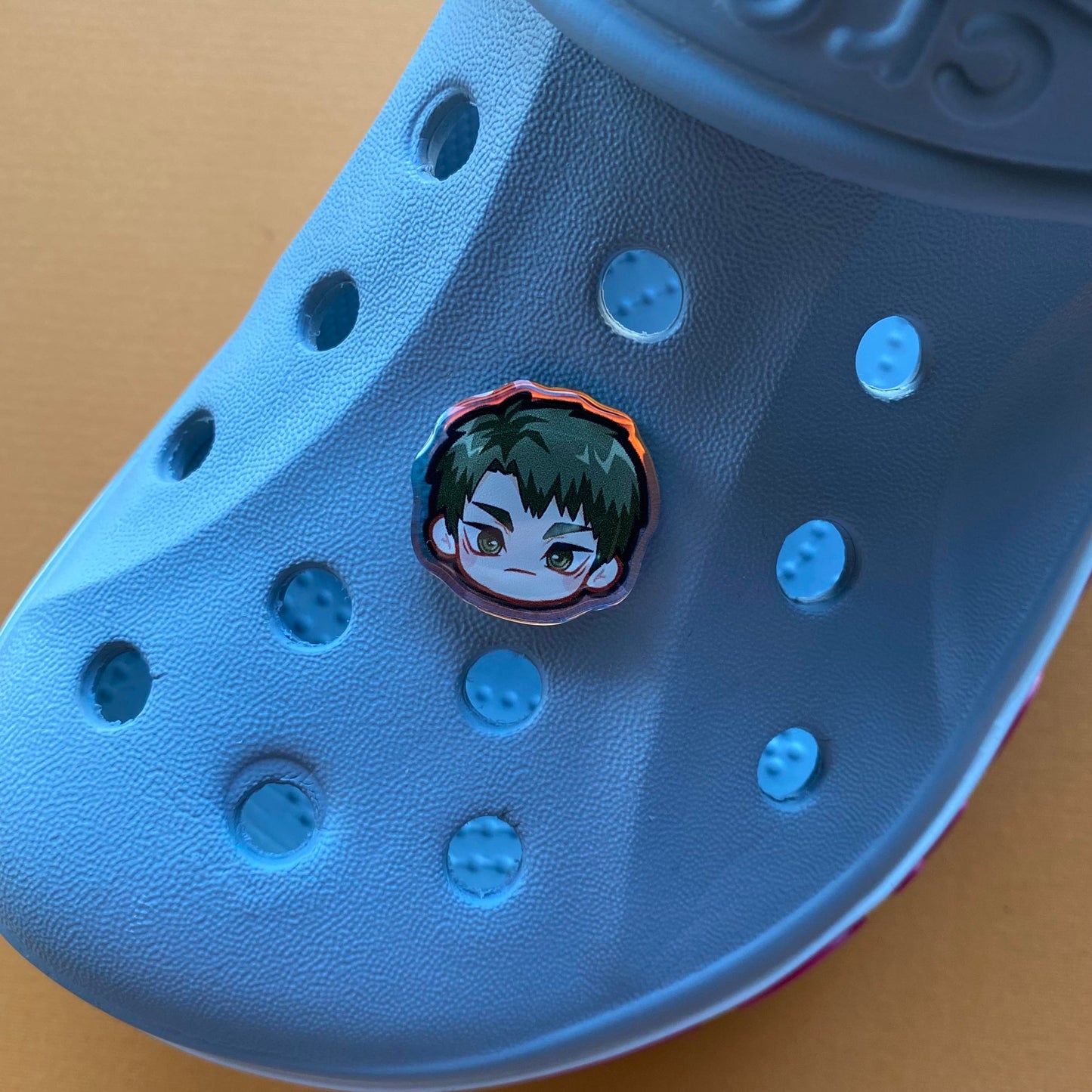 H Q !! Holographic Croc Charms