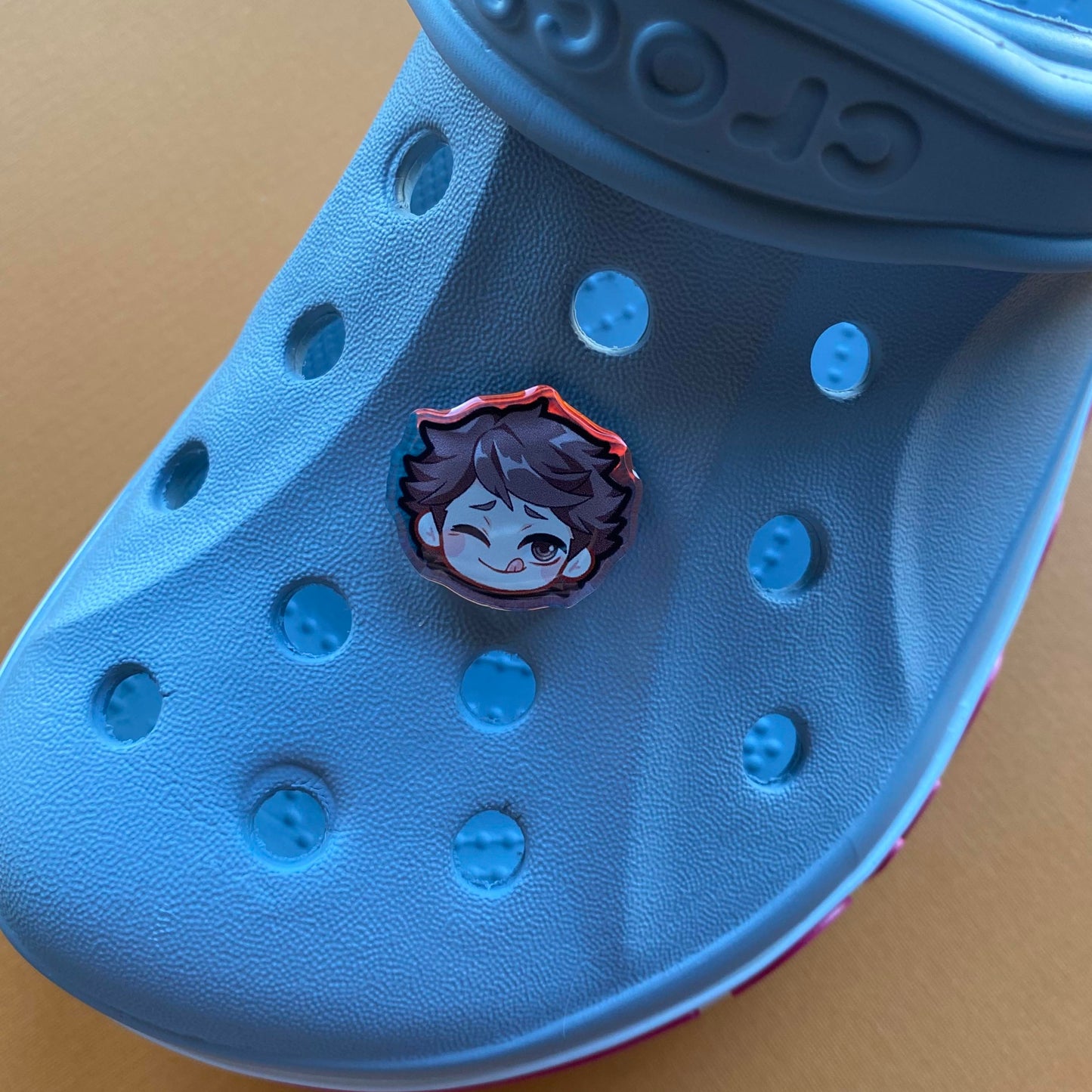 H Q !! Holographic Croc Charms