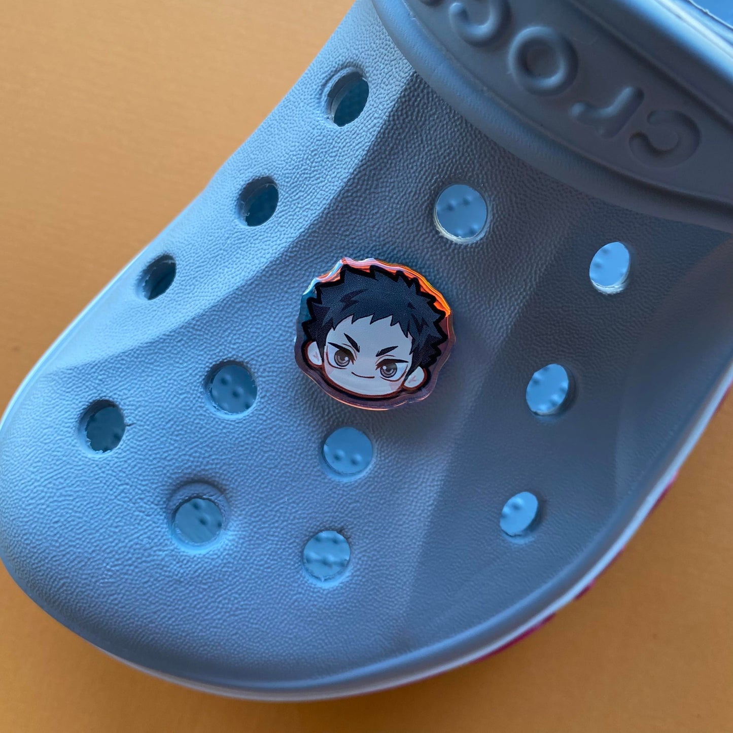 H Q !! Holographic Croc Charms