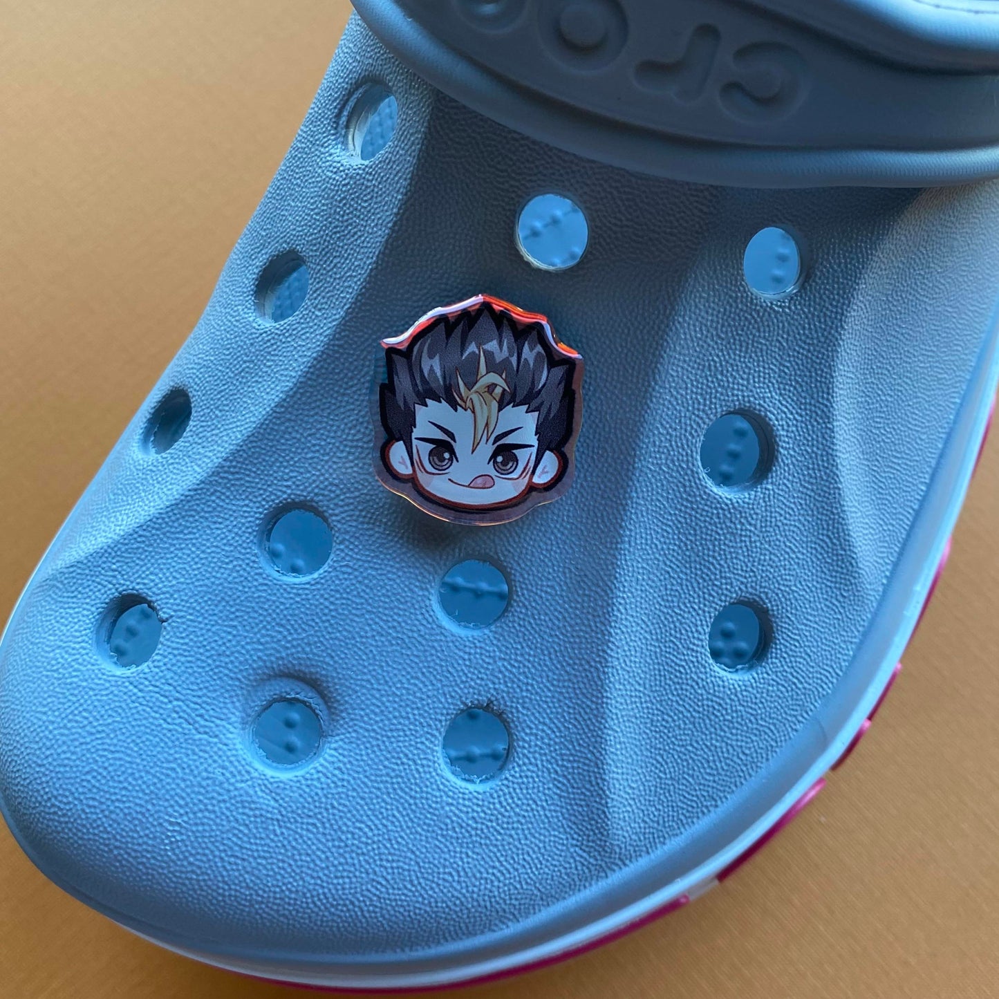 H Q !! Holographic Croc Charms