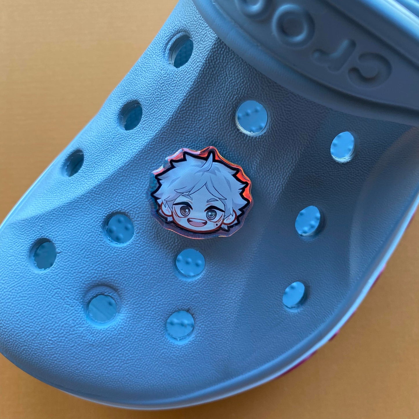 H Q !! Holographic Croc Charms