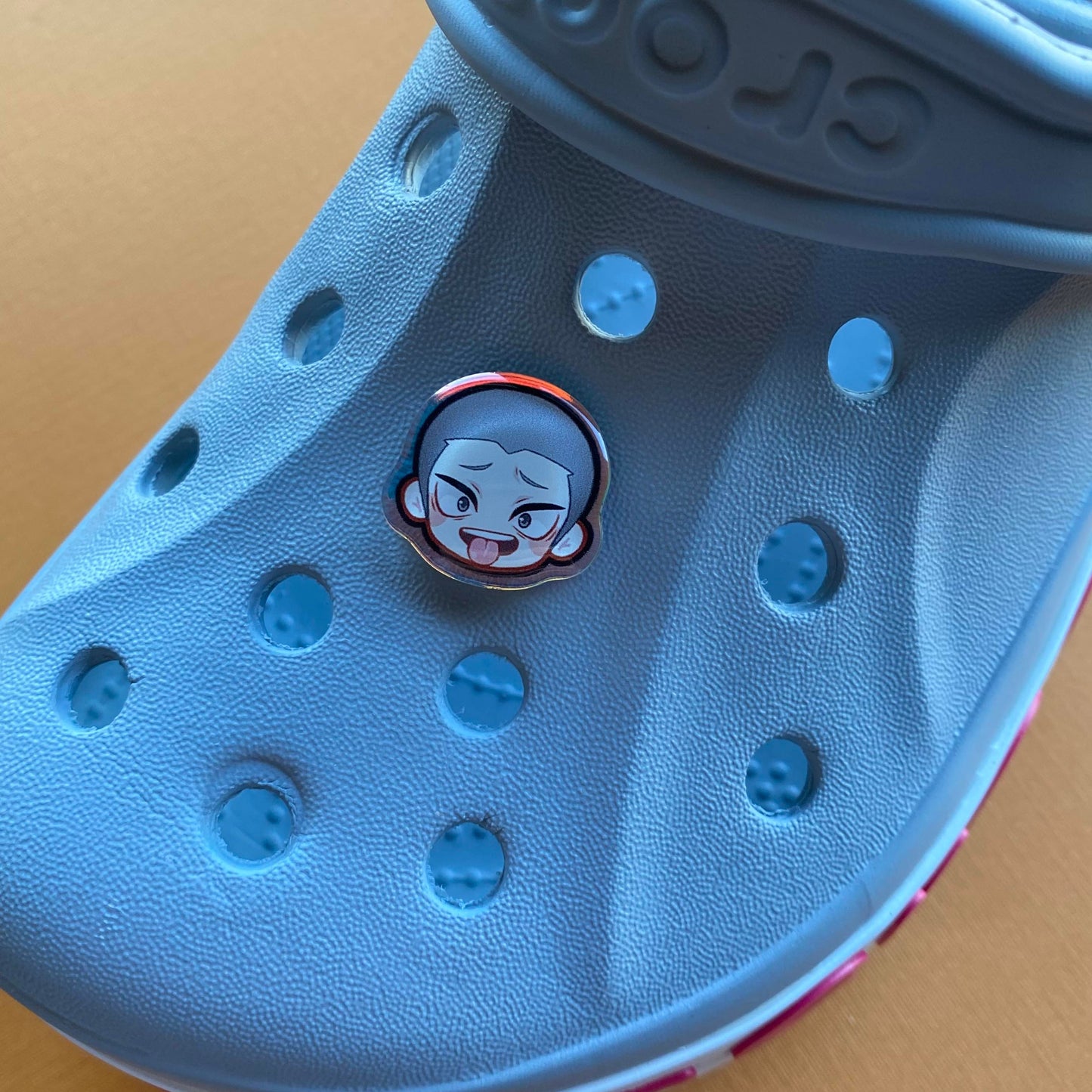 H Q !! Holographic Croc Charms